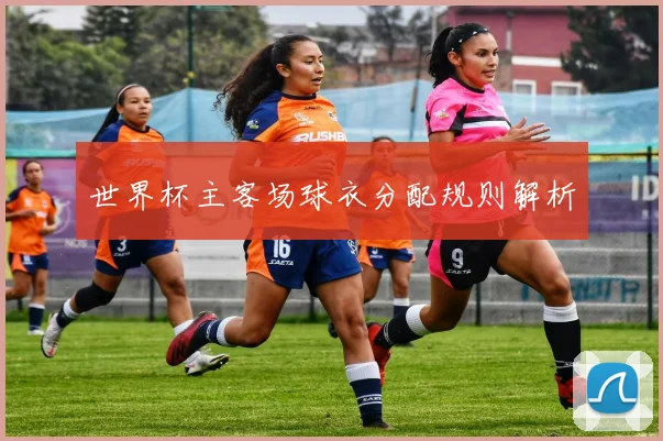世界杯主客场球衣分配规则解析