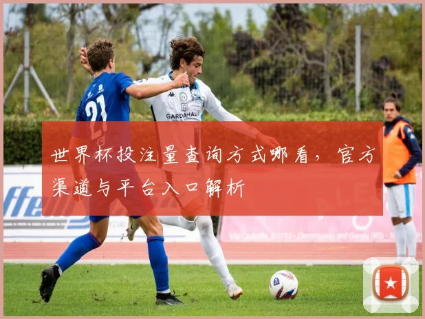 世界杯投注量查询方式哪看，官方渠道与平台入口解析