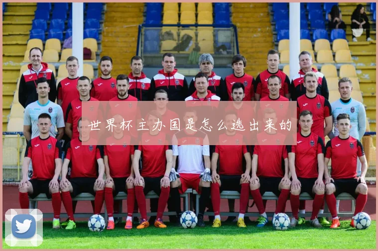 世界杯主办国是怎么选出来的