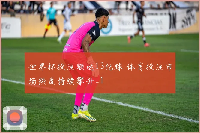 世界杯投注额达13亿球 体育投注市场热度持续攀升_1