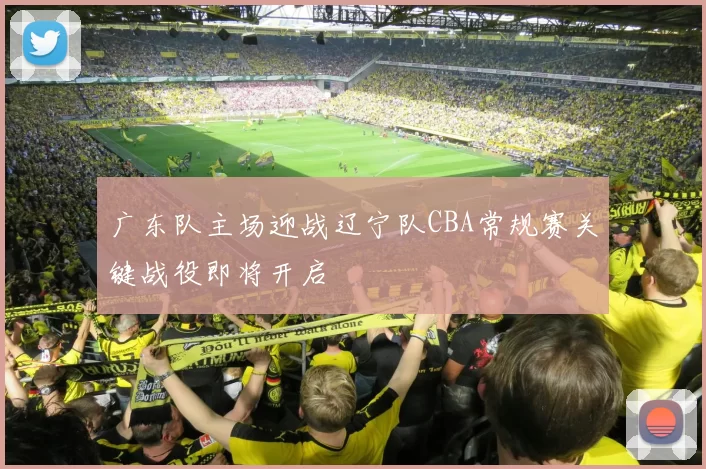 广东队主场迎战辽宁队CBA常规赛关键战役即将开启