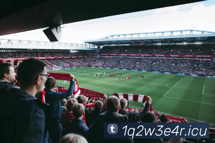 九游官方网站 - 九游jiuyou(中国)APP 封面图